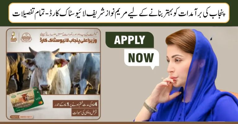 Maryam Nawaz Sharif Livestock Card to Improve Export of Punjab – All Details