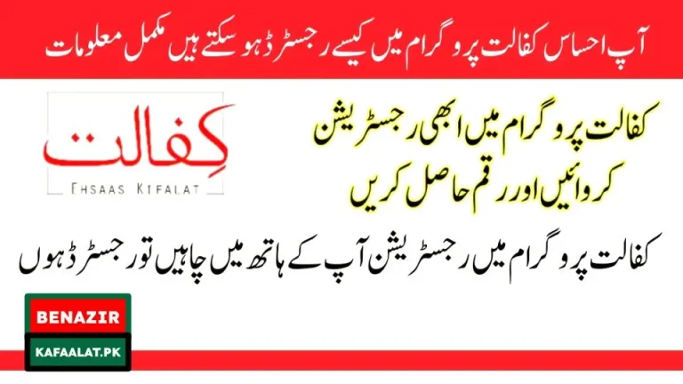 How to Check Your Ehsaas Kafalat Payment Status and Receive Updates